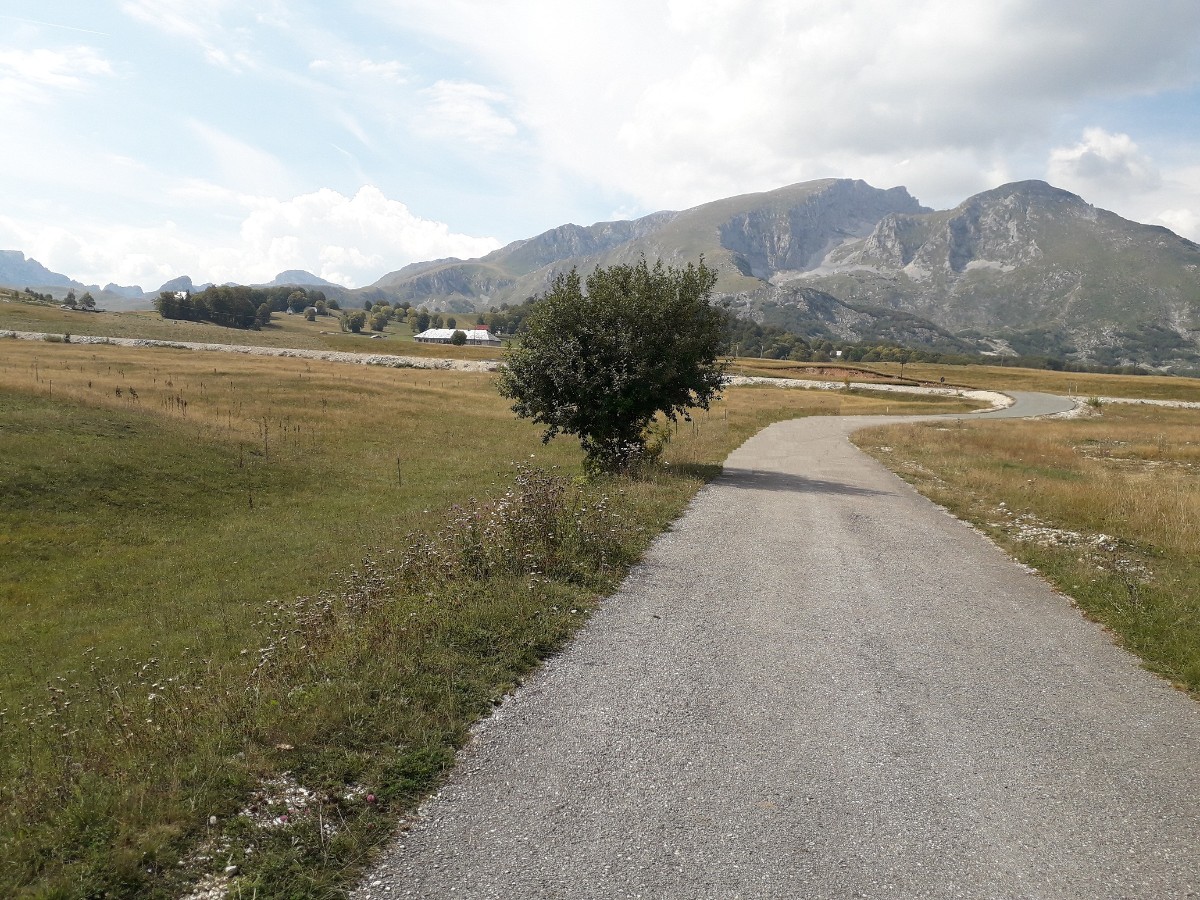 Plac od 2960 m² u blizini restorana Izvor, 10 €/m², Žabljak